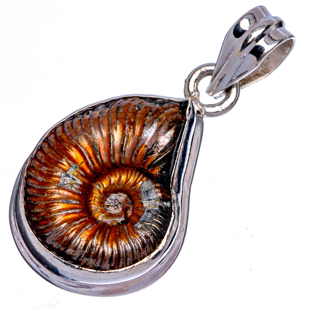 Rare Ammonite Fossil Pendant 1 3/8" (925 Sterling Silver) P40463