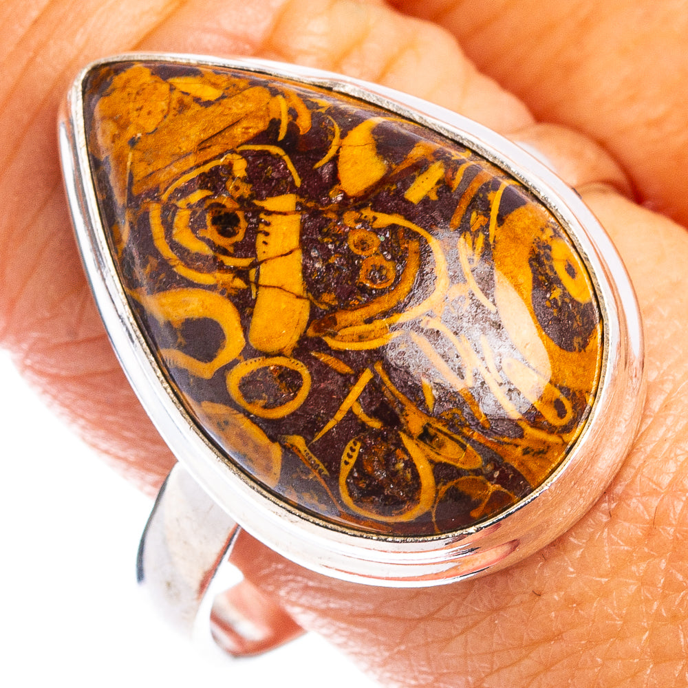 Coquina Fossil Ring Size 11 (.925 Sterling Silver)