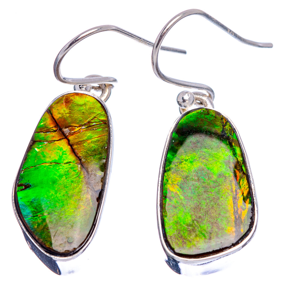 Premium Canadian Ammolite Earrings 1 3/8" (.925 Sterling Silver)