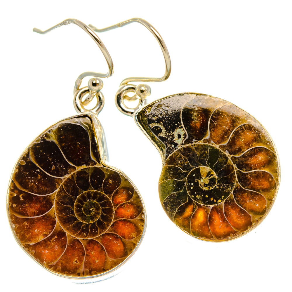 Ammonite Fossil Earrings 1 3/8" (925 Sterling Silver) EARR431989