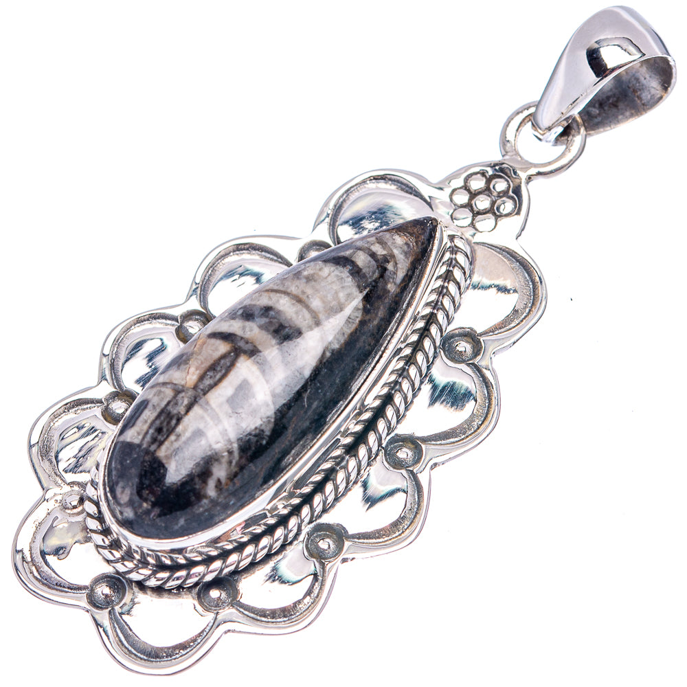 Premium Orthoceras Fossil Pendant 2" (.925 Sterling Silver)