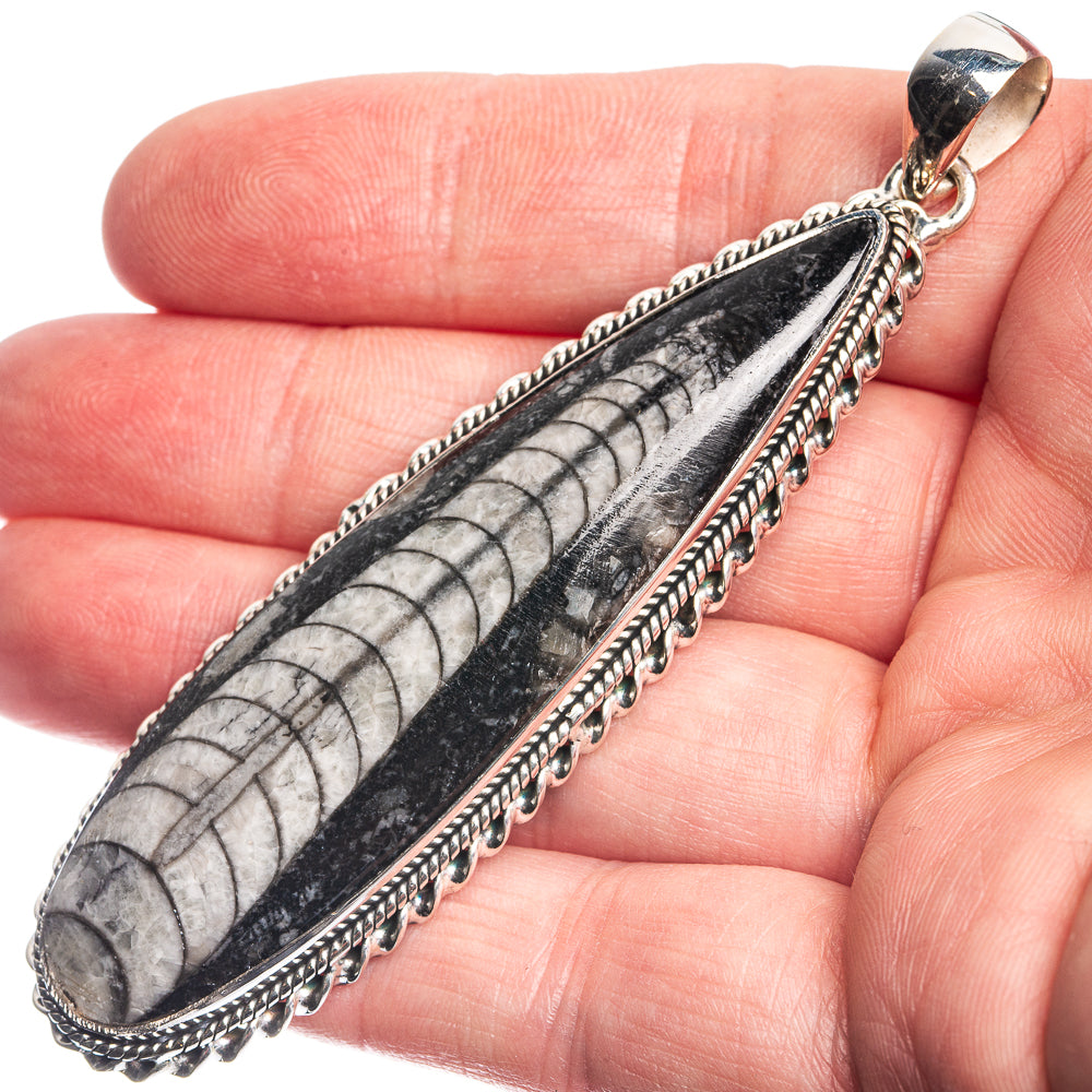 Huge Orthoceras Fossil 925 Sterling Silver Pendant 3 1/4"