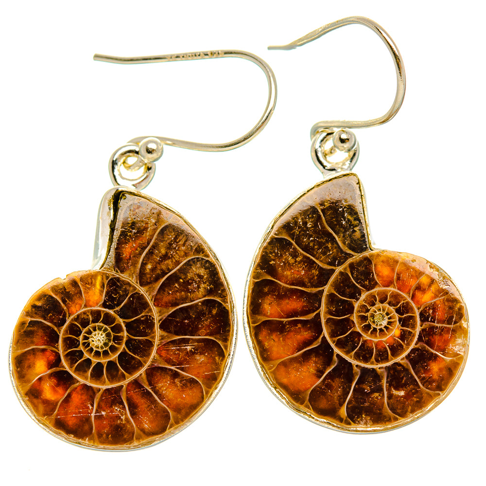 Ammonite Fossil Earrings 1 1/2" (925 Sterling Silver) EARR431993