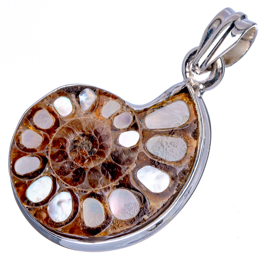 Mop Ammonite Pendant 1 1/2" (925 Sterling Silver) P40396