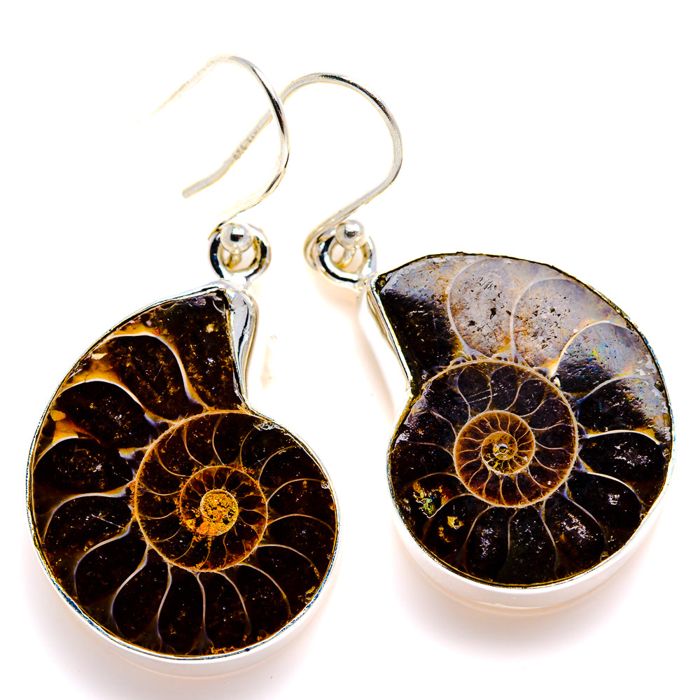 Ammonite Fossil Earrings 1 1/2" (925 Sterling Silver) EARR432115