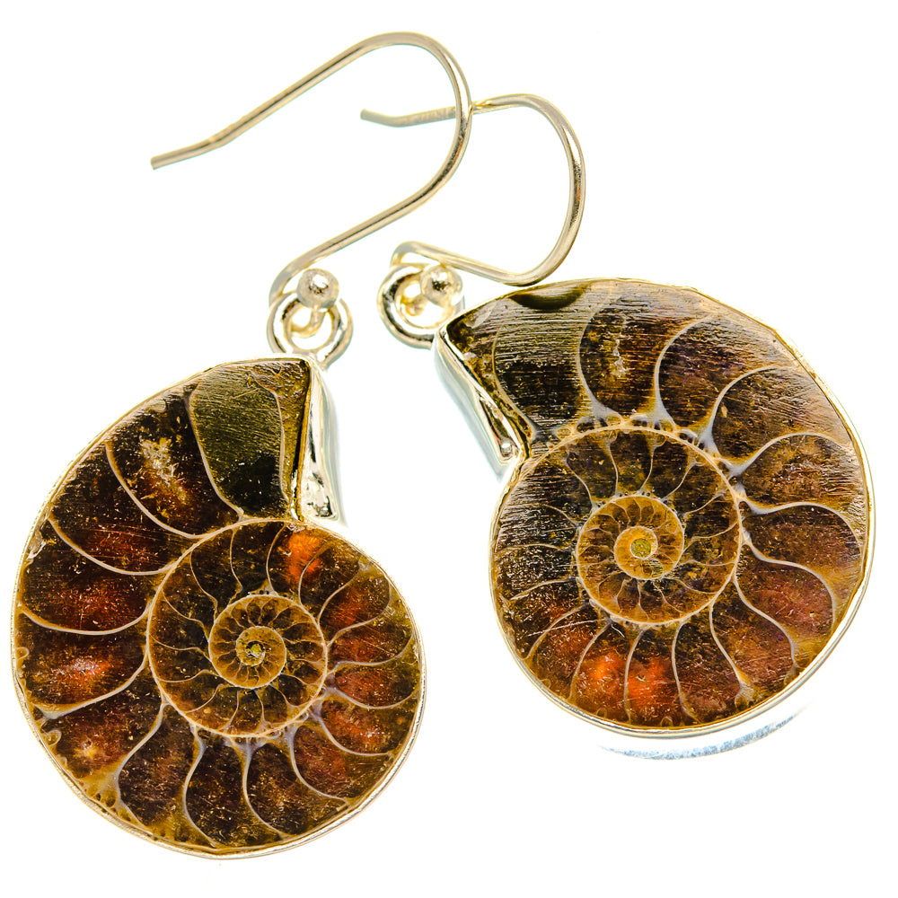 Ammonite Fossil Earrings 1 1/2" (925 Sterling Silver) EARR432026
