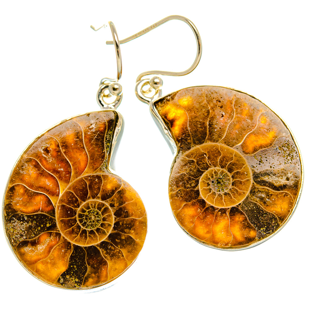 Ammonite Fossil Earrings 1 5/8" (925 Sterling Silver) EARR432050