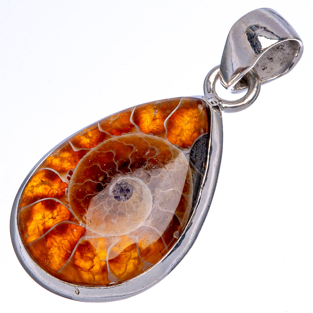 Rare Ammonite Fossil Pendant 1 3/8" (925 Sterling Silver) P40425