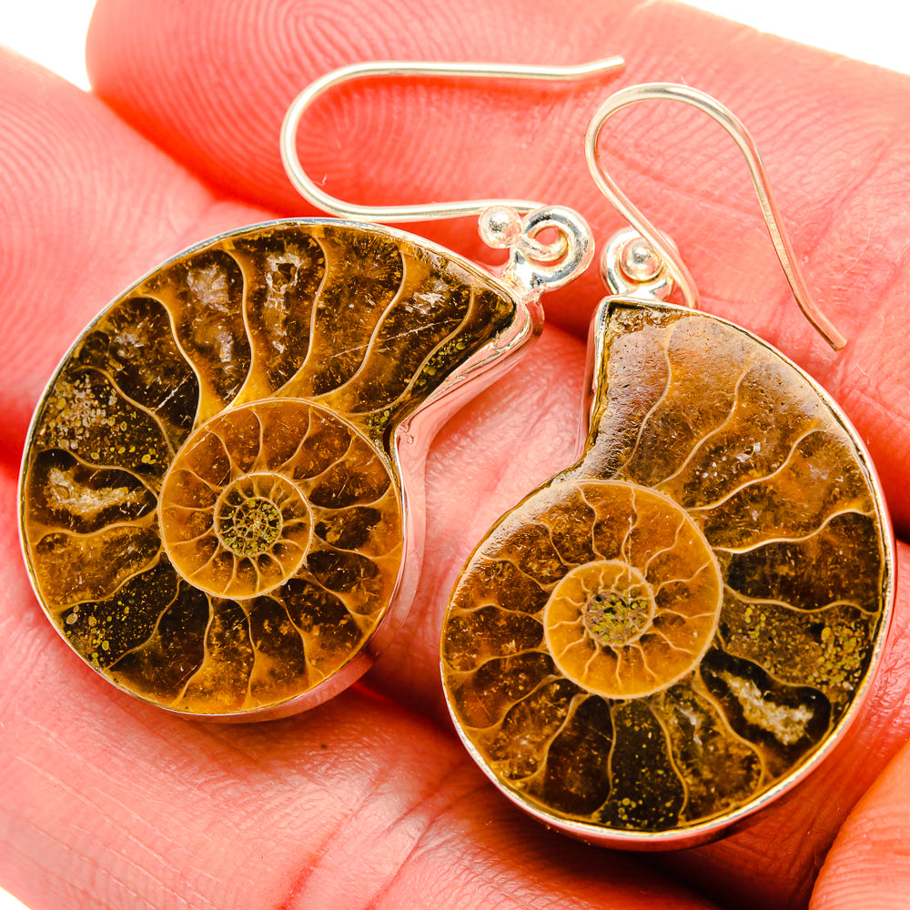 Ammonite Fossil Earrings 1 5/8" (925 Sterling Silver) EARR432050