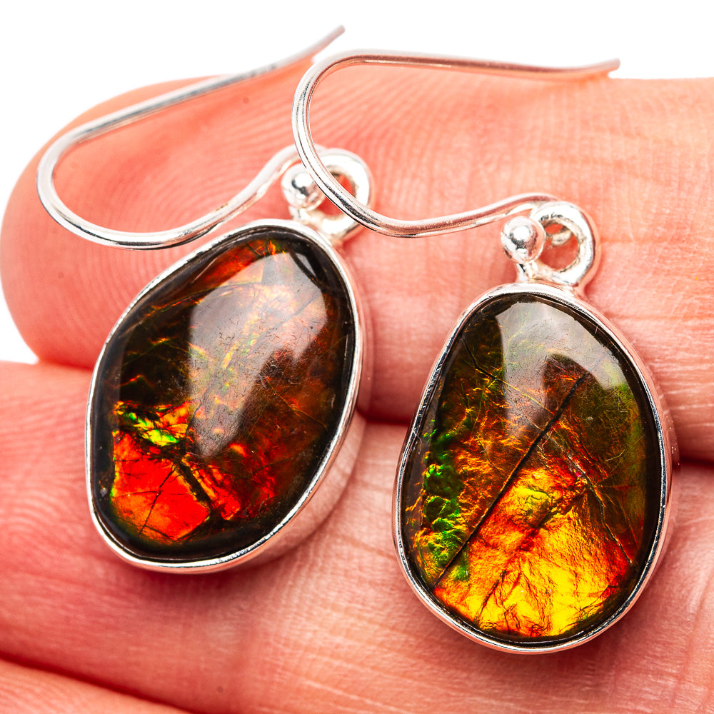 Premium Canadian Ammolite Earrings 1 1/4" (.925 Sterling Silver)
