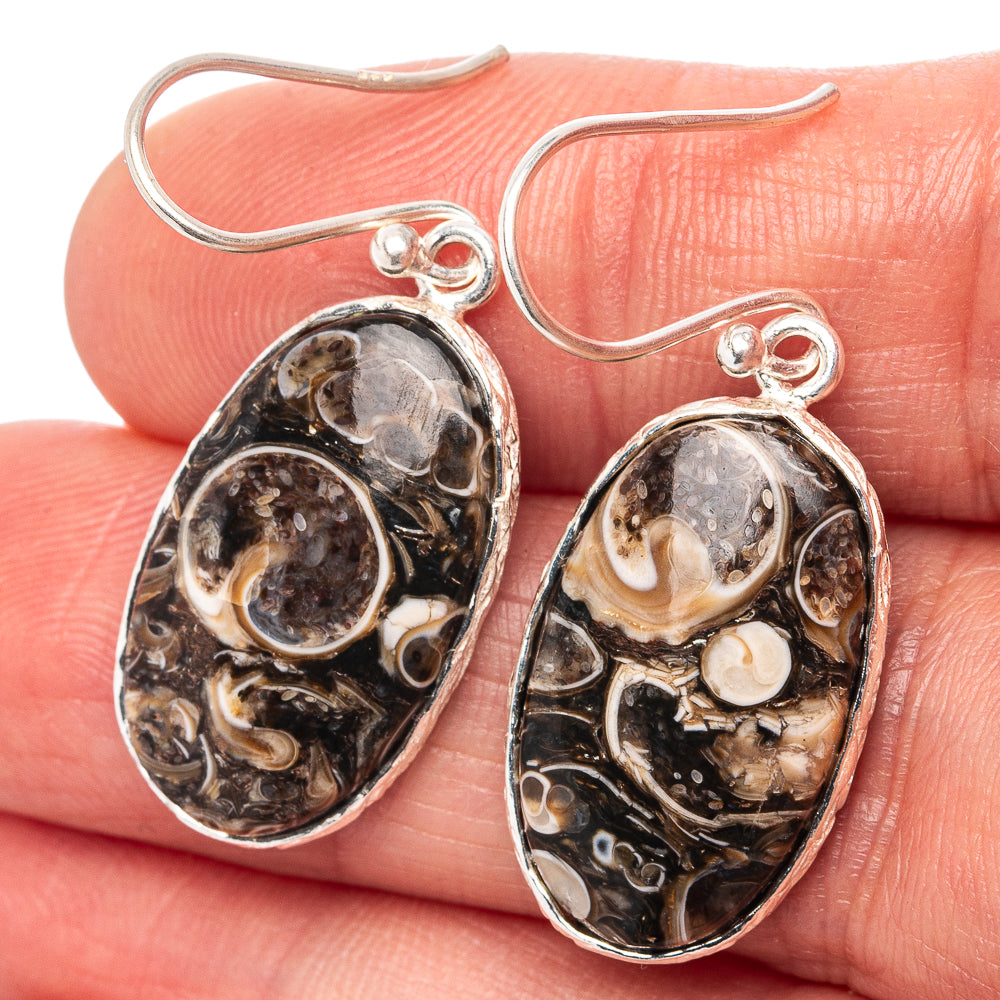 Turritella Agate Earrings 1 1/2" (.925 Sterling Silver)