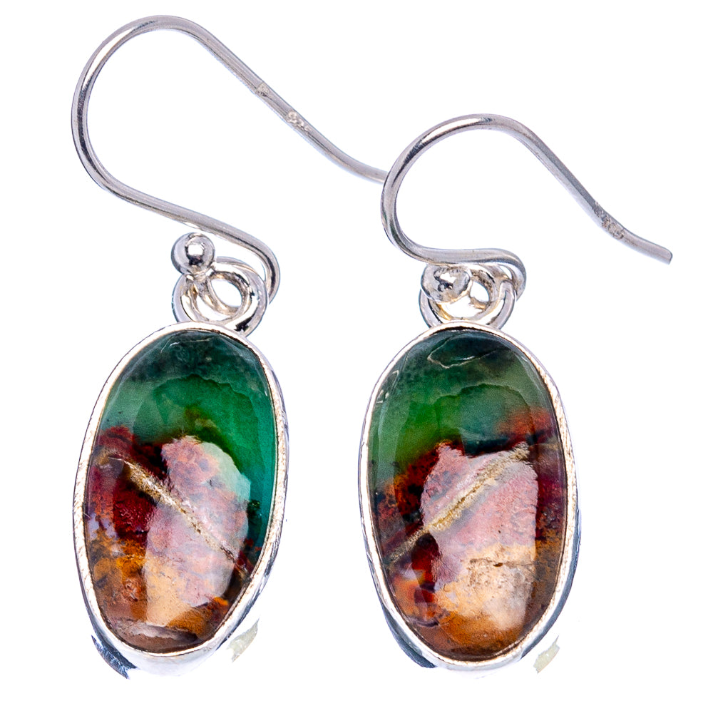Rare Opalized Wood Earrings 1 1/8" (.925 Sterling Silver)