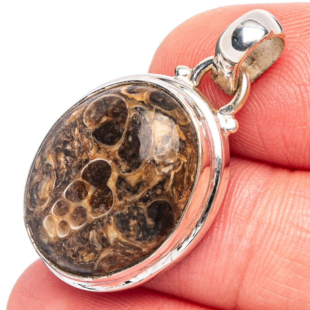 Turritella Agate Pendant 1 1/4" (.925 Sterling Silver)