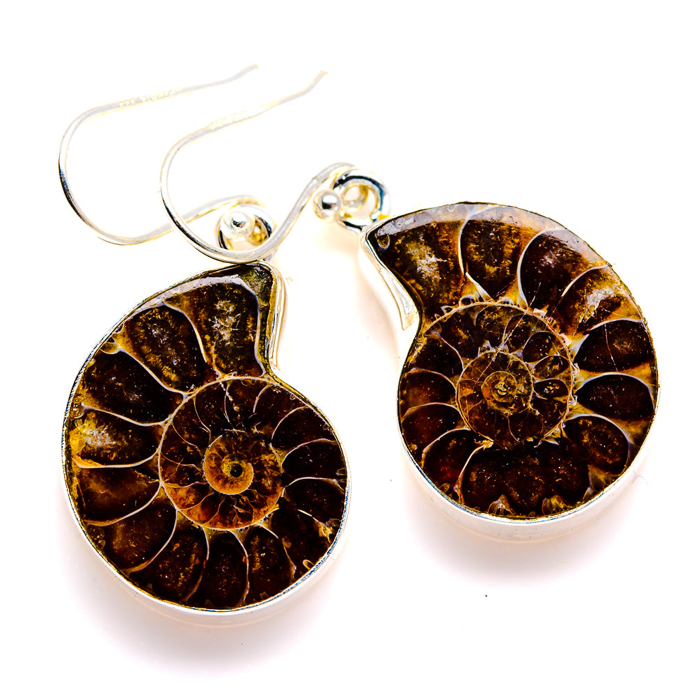 Ammonite Fossil Earrings 1 1/2" (925 Sterling Silver) EARR432085