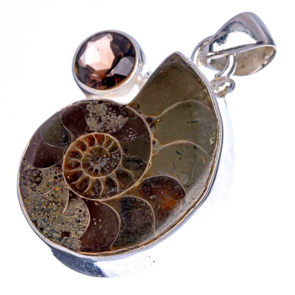 Ammonite Fossil, Smoky Quartz Pendant 1 3/8" (925 Sterling Silver) P40236