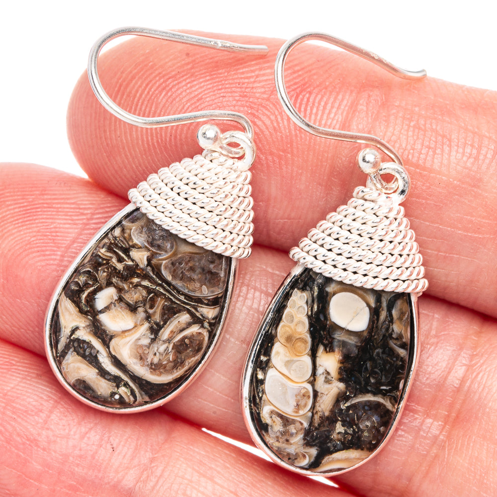Turritella Agate Earrings 1 1/2" (925 Sterling Silver) E433206