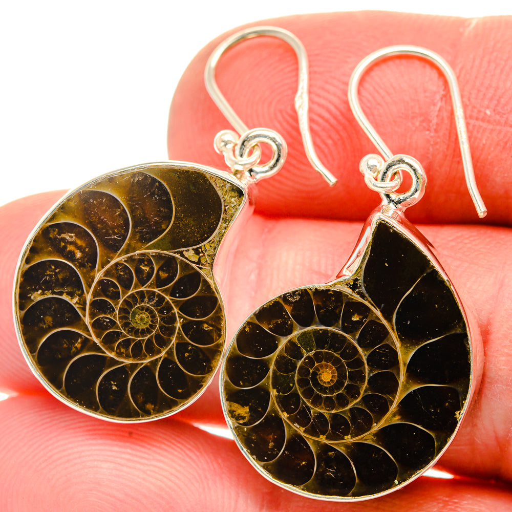 Ammonite Fossil Earrings 1 1/2" (925 Sterling Silver) EARR432093