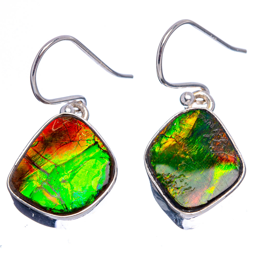 Premium Canadian Ammolite Earrings 1 1/8" (.925 Sterling Silver)
