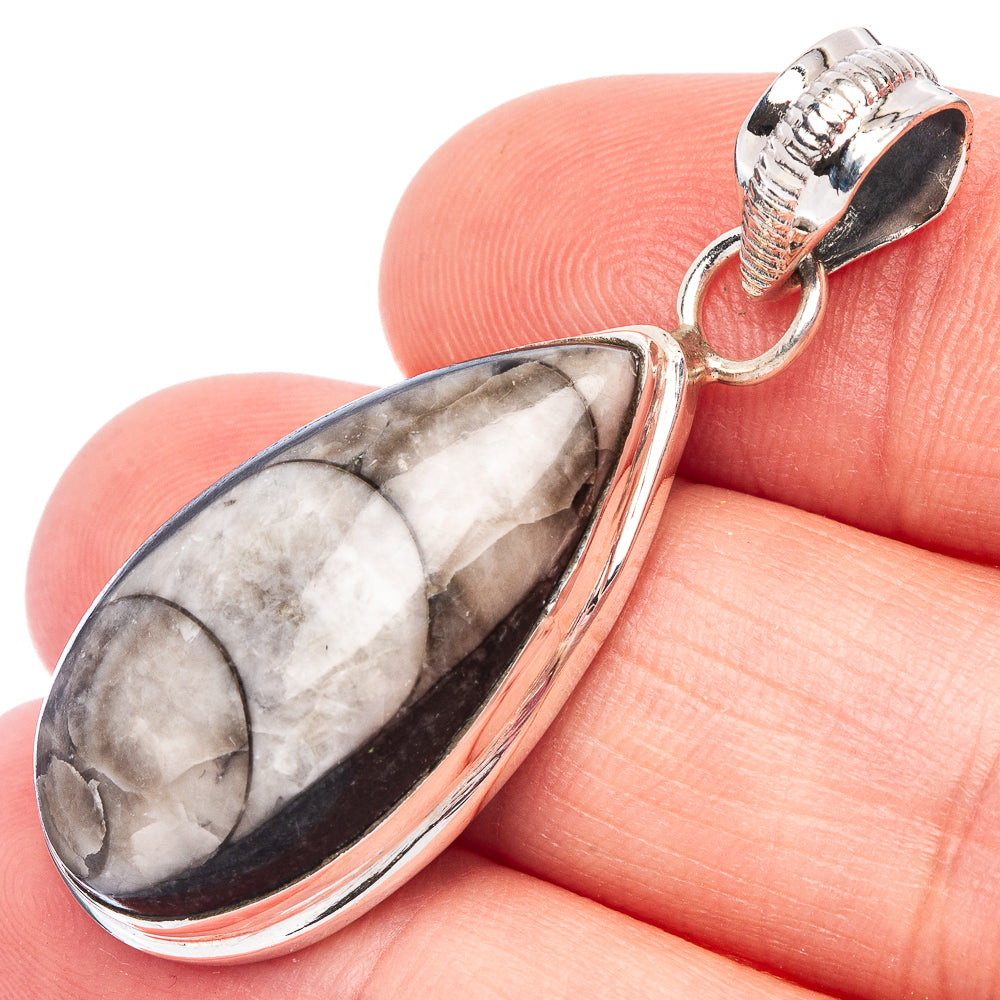Orthoceras Fossil Pendant 1 5/8" (925 Sterling Silver) P44475