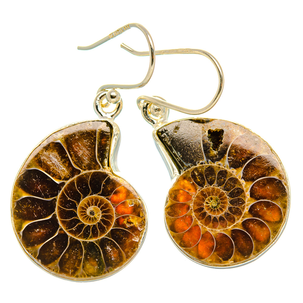 Ammonite Fossil Earrings 1 1/2" (925 Sterling Silver) EARR432019