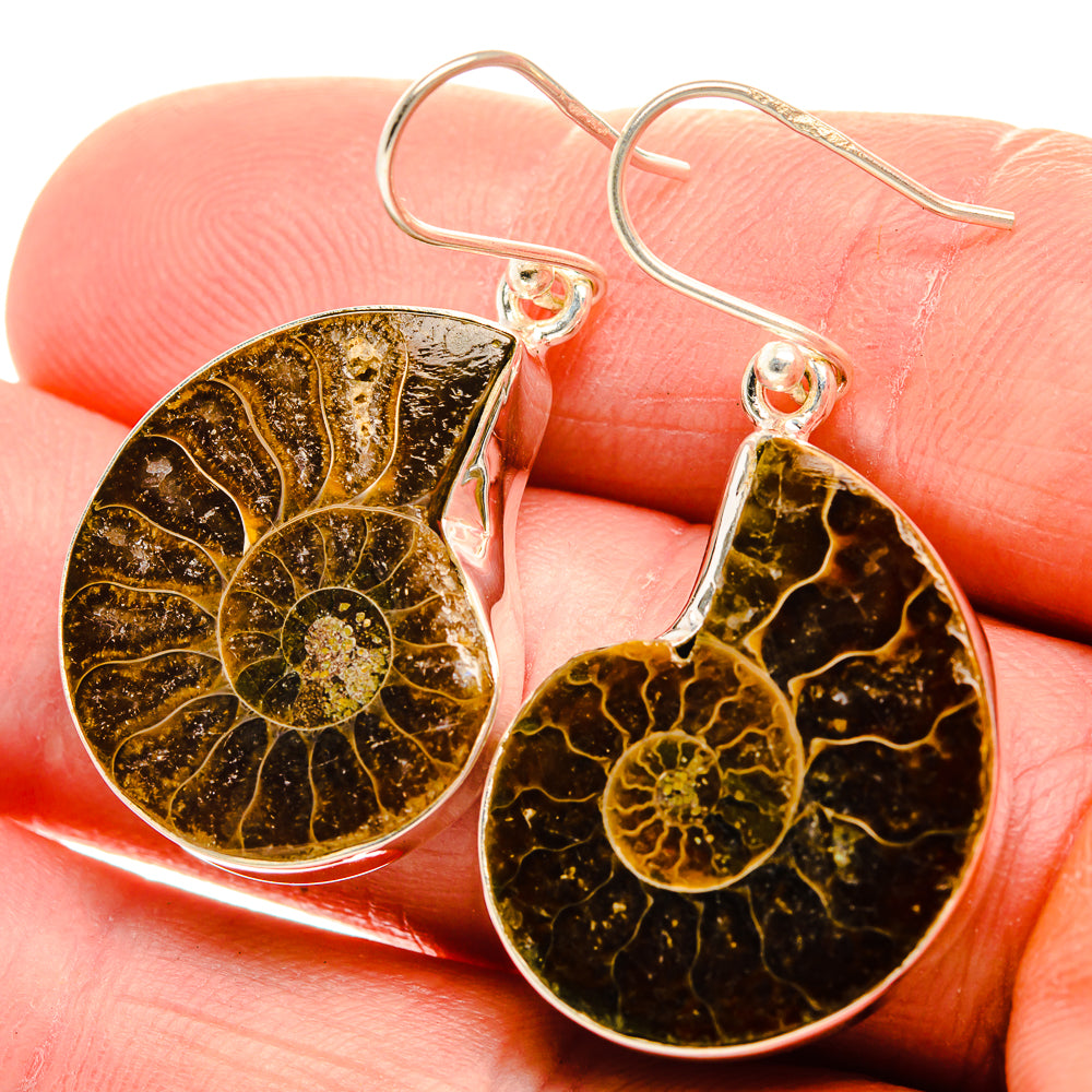 Ammonite Fossil Earrings 1 5/8" (925 Sterling Silver) EARR432121