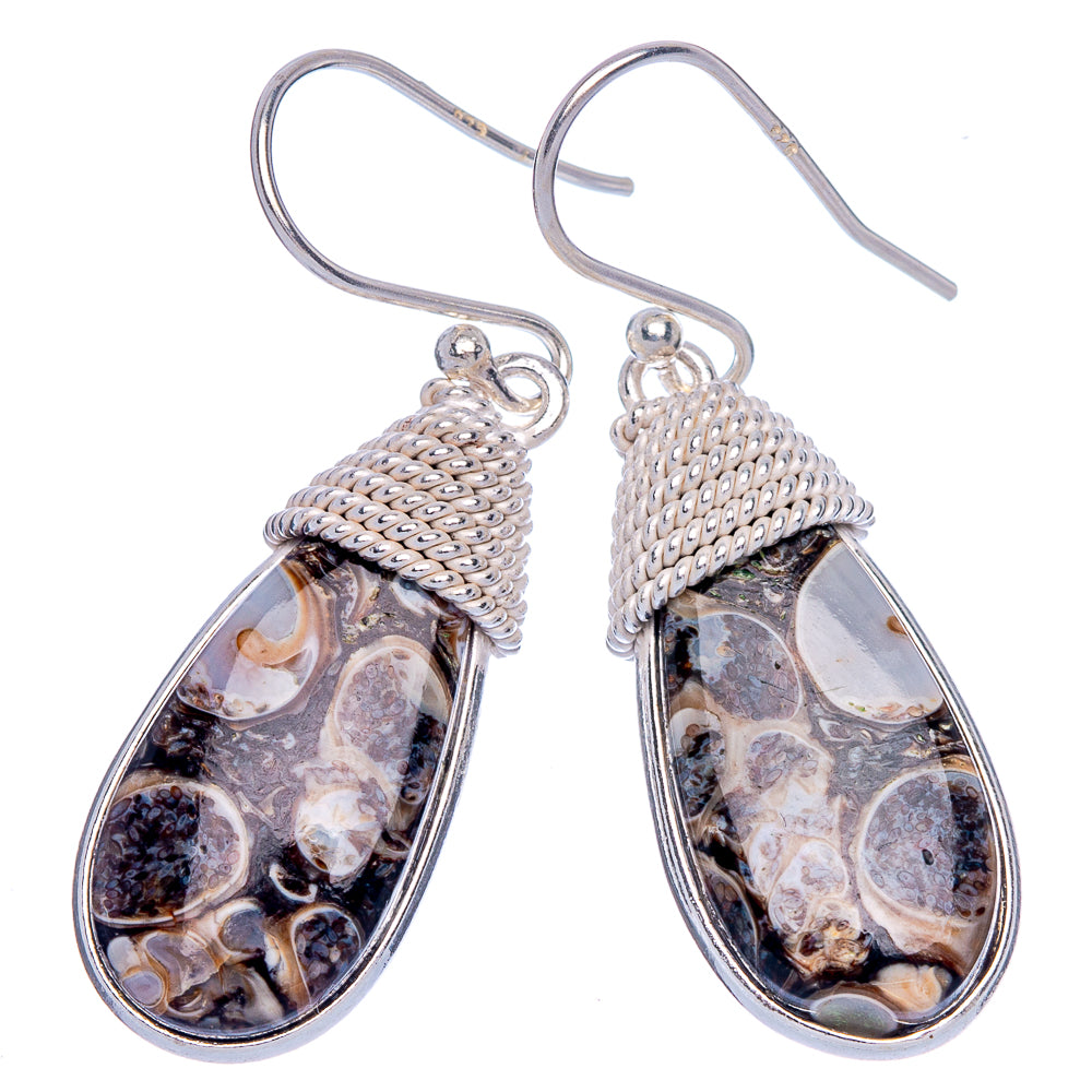Turritella Agate Earrings 1 1/2" (925 Sterling Silver) E433261