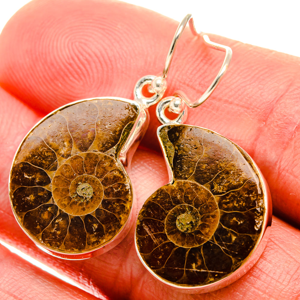 Ammonite Fossil Earrings 1 1/2" (925 Sterling Silver) EARR432058