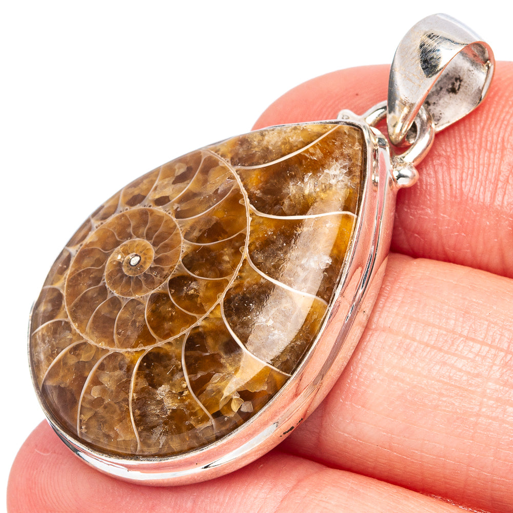 Rare Ammonite Fossil Pendant 1 5/8" (925 Sterling Silver) P43387