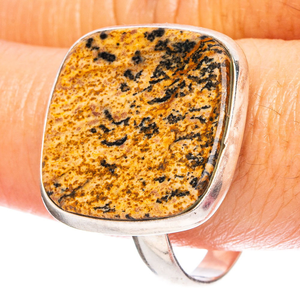 Picture Jasper 925 Sterling Silver Ring Size 11.75 (925 Sterling Silver) R6309