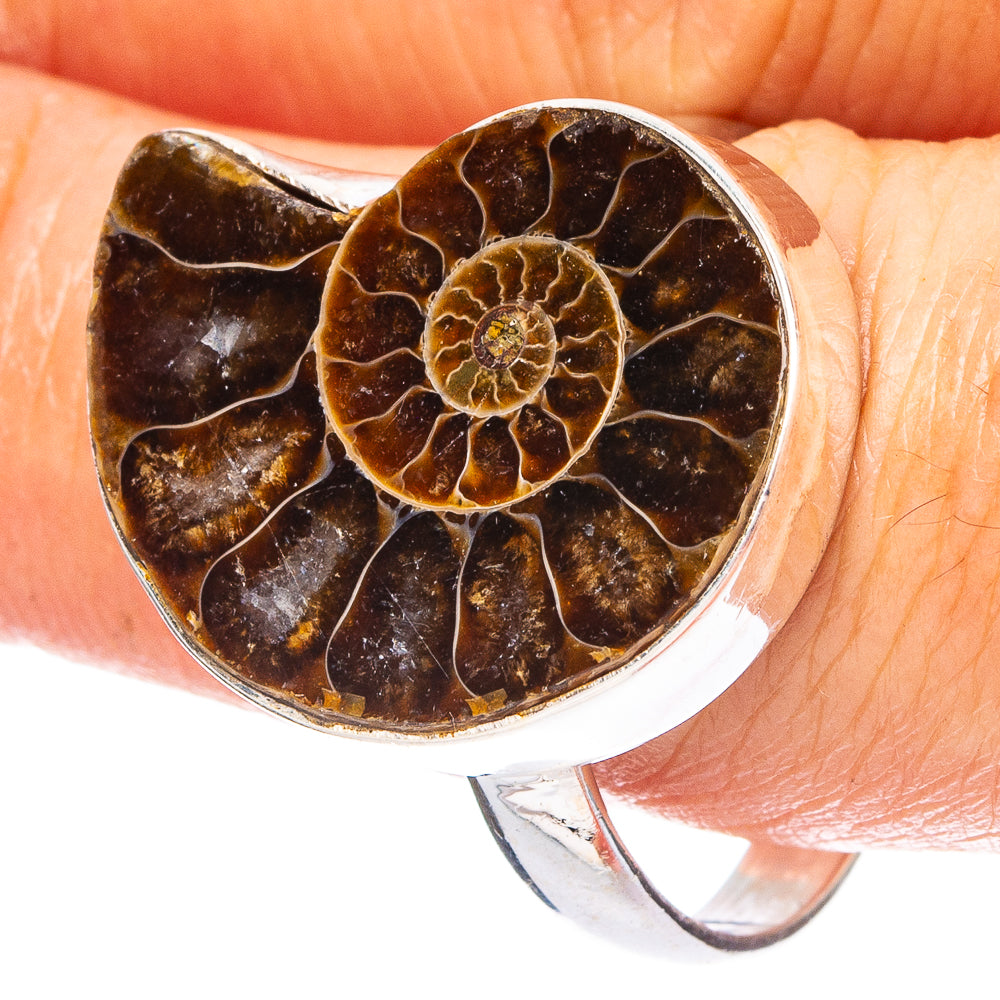 Ammonite Fossil 925 Sterling Silver Ring Size 10.75 (925 Sterling Silver) R6328