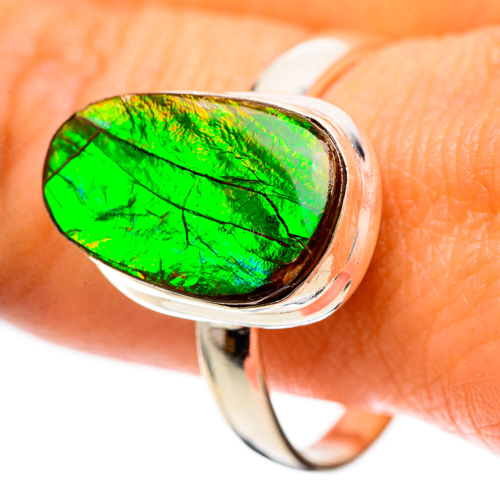 Canadian Ammolite Ring Size 11.75 (925 Sterling Silver) RING138984