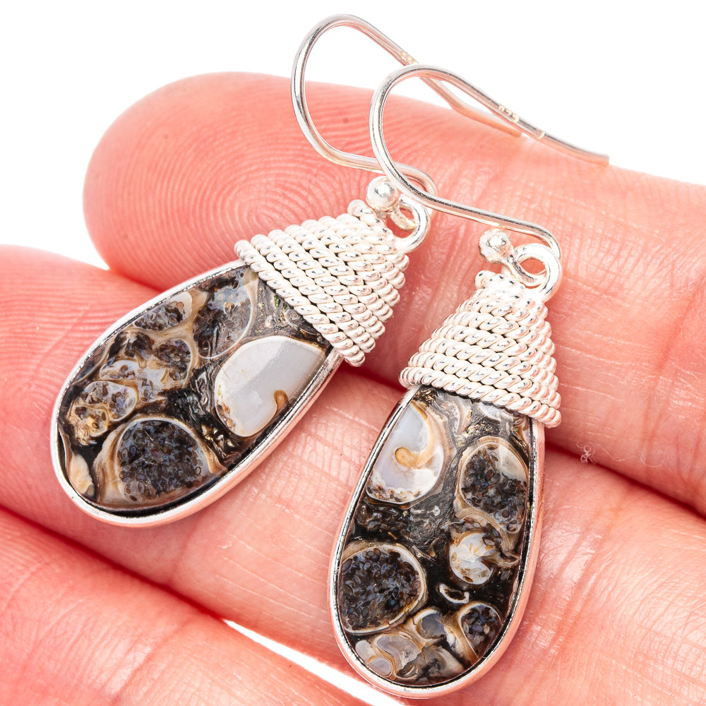 Turritella Agate Earrings 1 1/2" (925 Sterling Silver) E433261