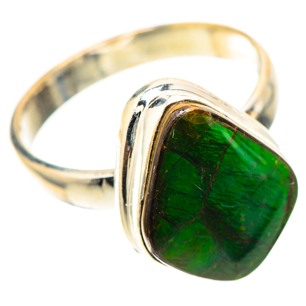 Canadian Ammolite Ring Size 8.25 (925 Sterling Silver) RING139782