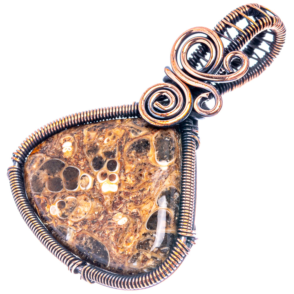 Turritella Agate Wire Wrap Pendant 2" (Oxidized Copper)
