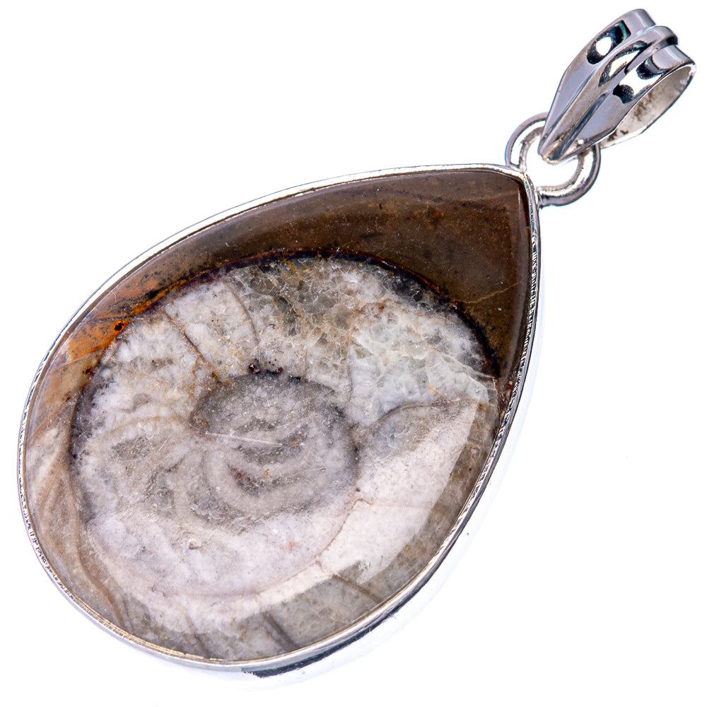 Ammonite Fossil Pendant 1 3/4" (925 Sterling Silver) P40862