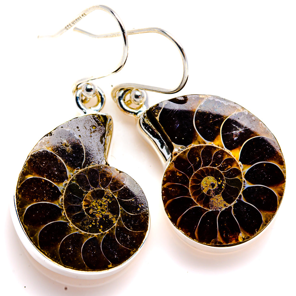 Ammonite Fossil Earrings 1 1/2" (925 Sterling Silver) EARR432109