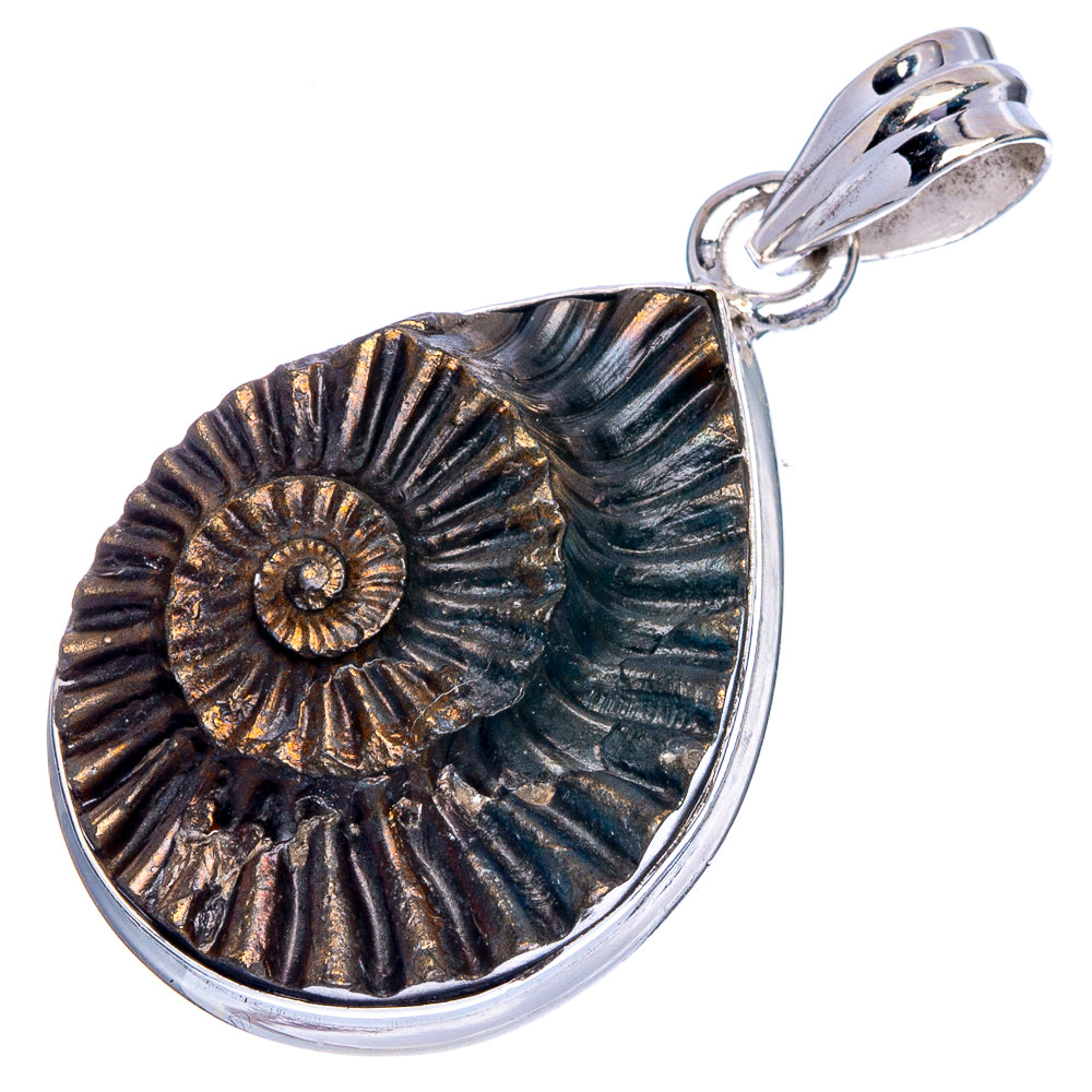 Pyrite Fossil Pendant 1 1/2" (925 Sterling Silver) P40570