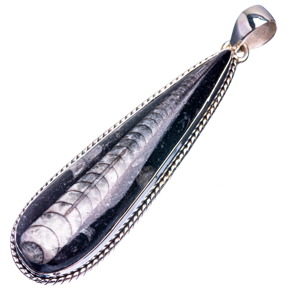 Orthoceras Fossil Pendant 2 7/8" (925 Sterling Silver) P38822