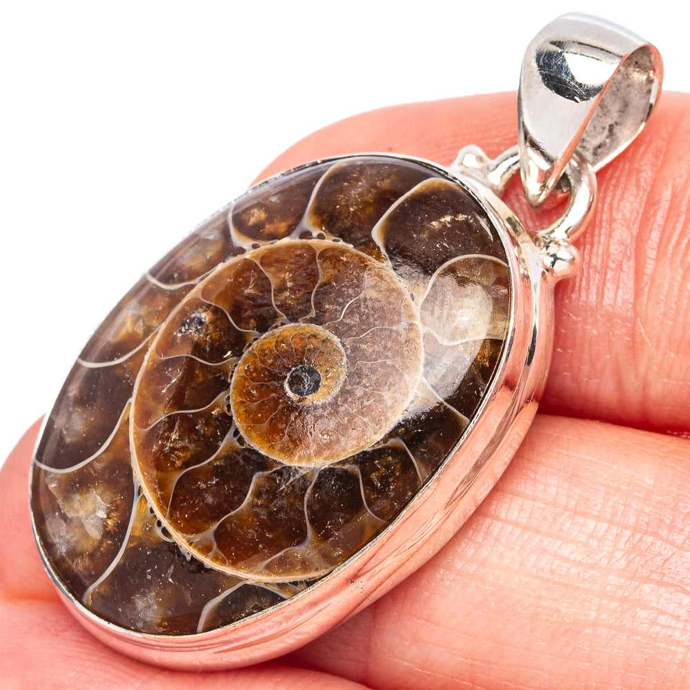 Rare Ammonite Fossil Pendant 1 1/2" (925 Sterling Silver) P43383