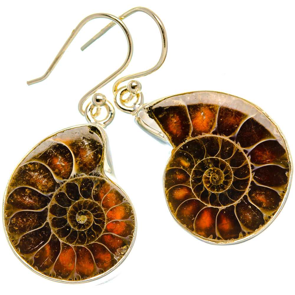Ammonite Fossil Earrings 1 1/2" (925 Sterling Silver) EARR432063