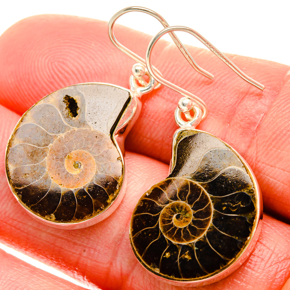 Ammonite Fossil Earrings 1 1/2" (925 Sterling Silver) EARR432061