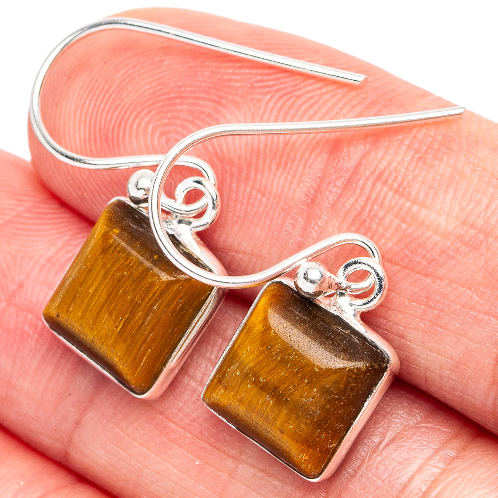 Tiger Eye Earrings 1" (925 Sterling Silver) E2972