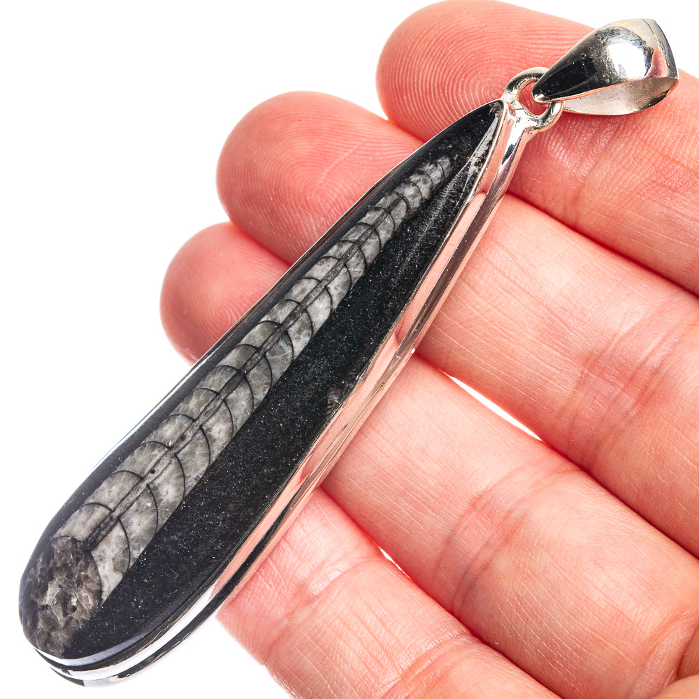 Large Orthoceras Fossil 925 Sterling Silver Pendant 2 7/8"