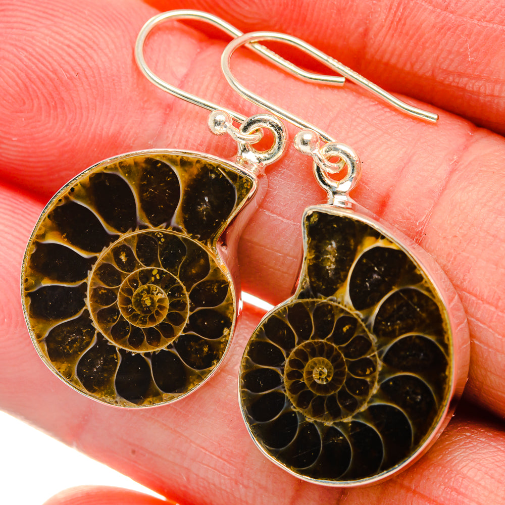 Ammonite Fossil Earrings 1 1/2" (925 Sterling Silver) EARR432081