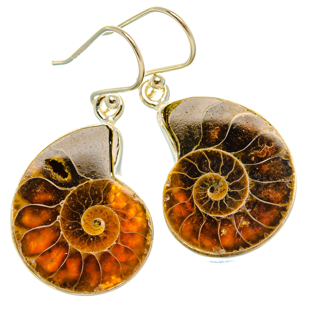 Ammonite Fossil Earrings 1 1/2" (925 Sterling Silver) EARR432061