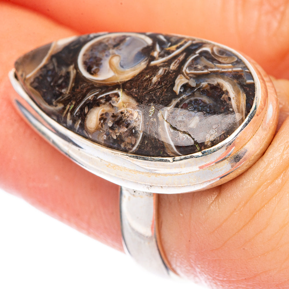 Turritella Agate Ring Size 6 (925 Sterling Silver) R1676