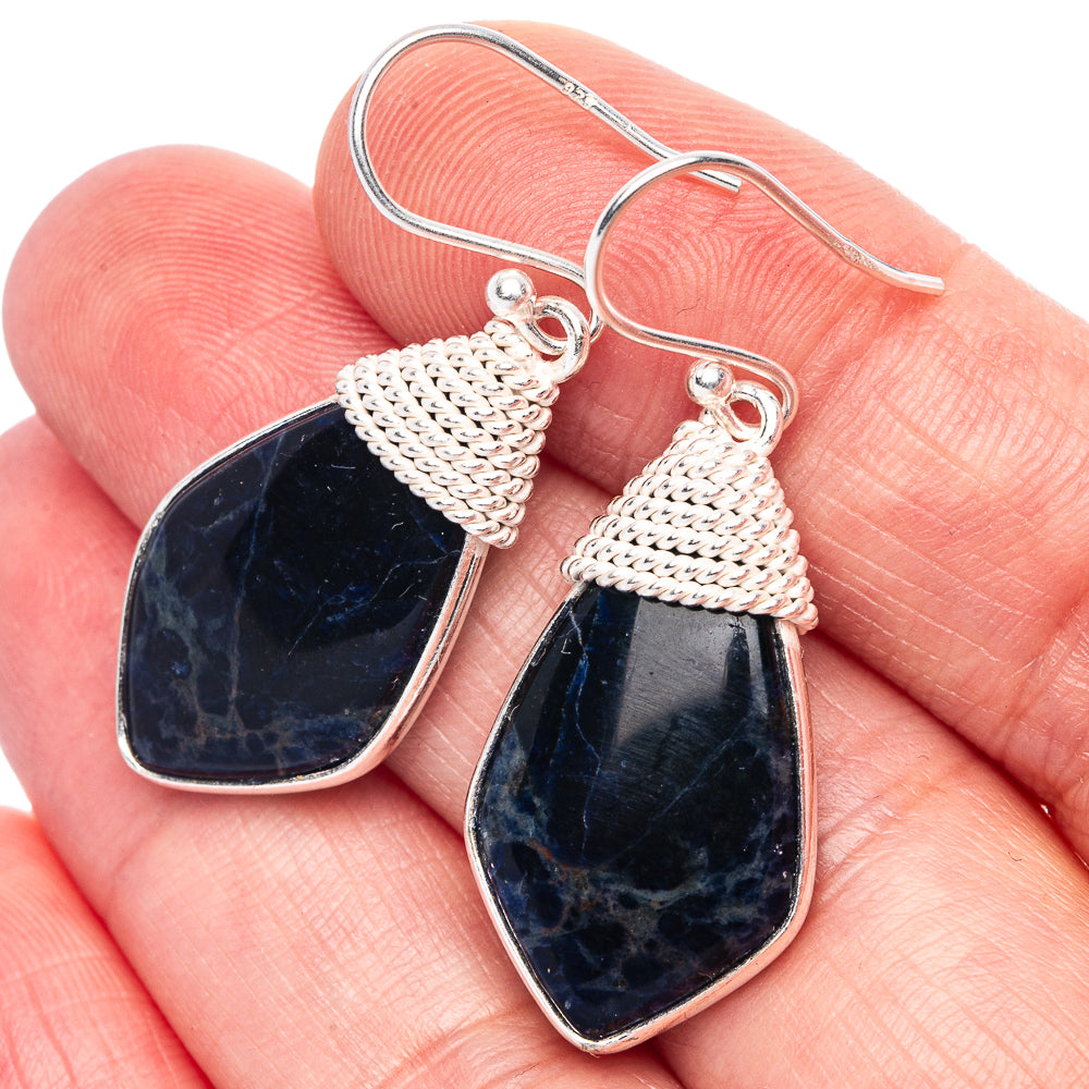 Pietersite Earrings 1 5/8" (925 Sterling Silver) E433189