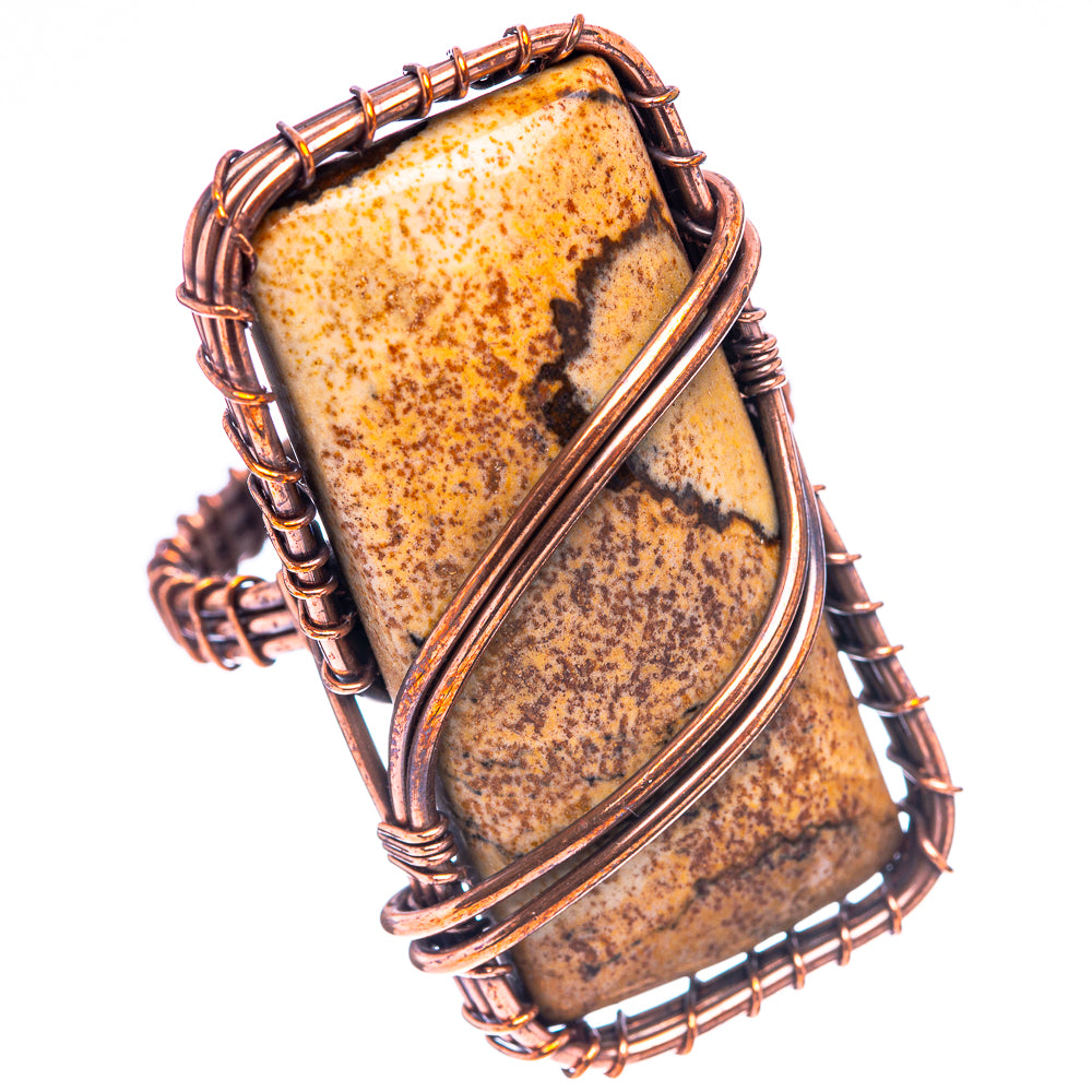 Picture Jasper Ring Size 8.75 (Oxidized Copper)