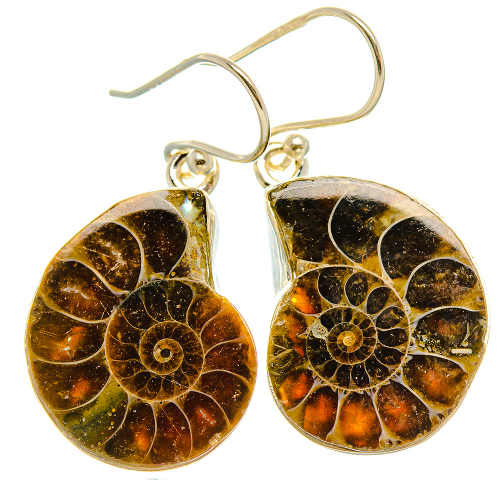 Ammonite Fossil Earrings 1 1/2" (925 Sterling Silver) EARR432022