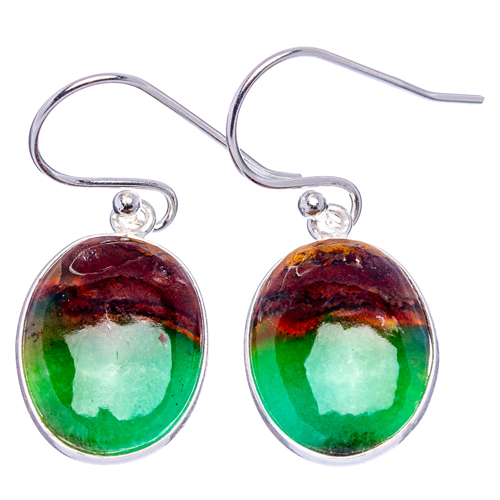 Rare Opalized Wood Earrings 1 1/4" (.925 Sterling Silver)